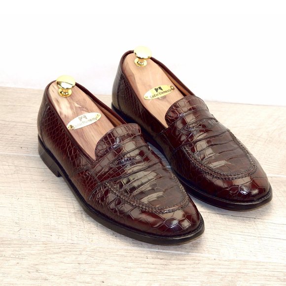 mezlan alligator